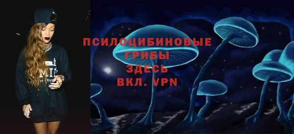 прущий лед Белокуриха