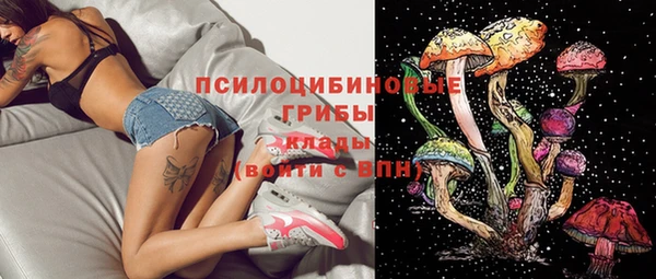прущий лед Белокуриха