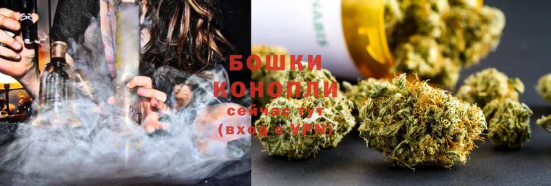 Бошки марихуана OG Kush  наркота  Володарск 